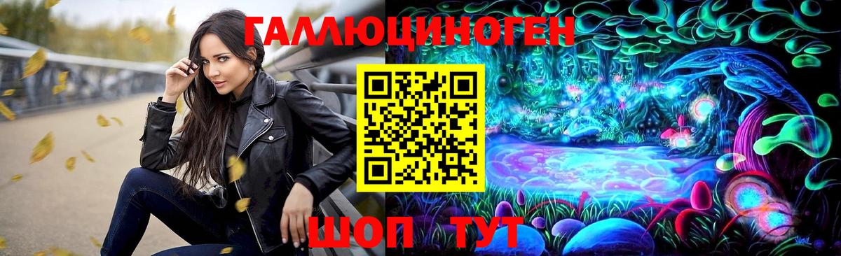Псилоцибиновые грибы Psilocybe  Вход с VPN  Ипатово 